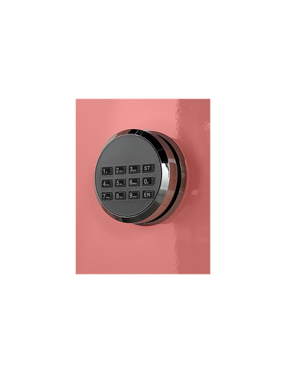 Shinjin Safe Tech Vogo Safes VGF-1140, DESERT FLOWER