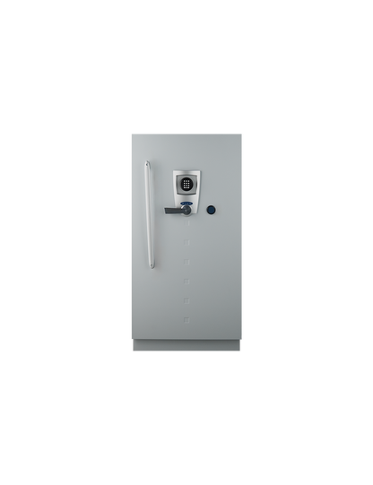 Fichet Bauche Diva Data Cabinet Grade S2 M-250 UAE